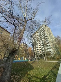 Сдается 1-комн. квартира, 34 м²